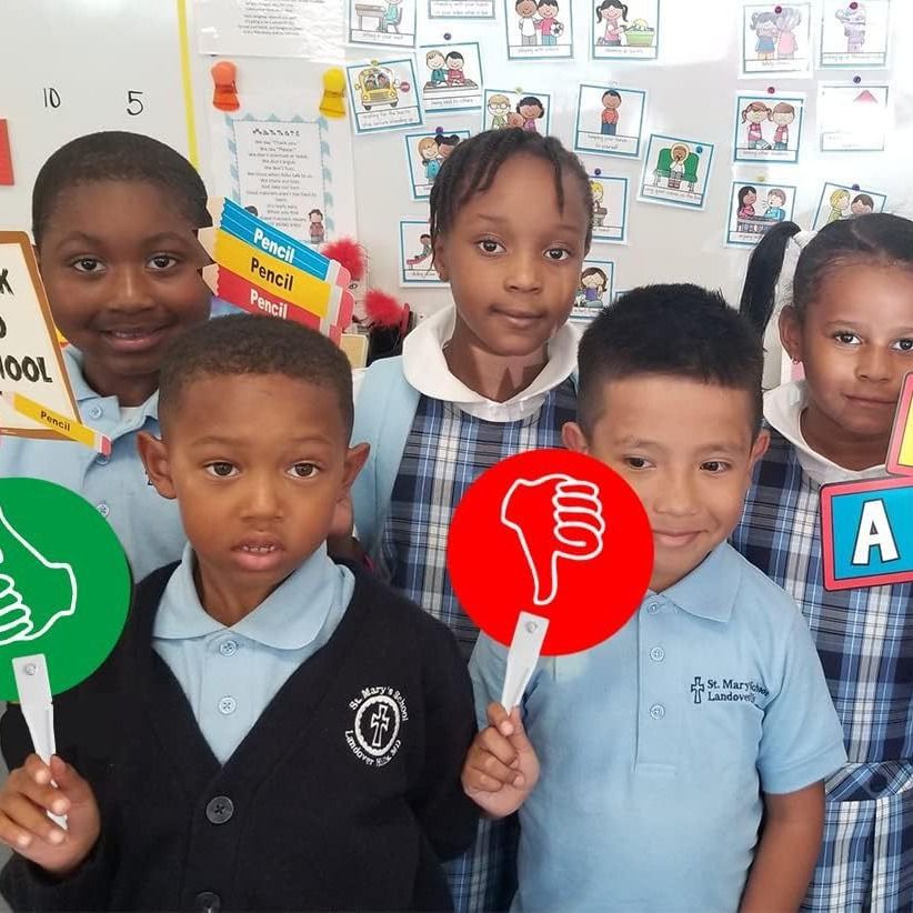 Thumbs UpThumbs Down Paddles for Classroom Voting, Teacher Event Supplies and Auction Signs 24 Packs